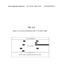 VERTICAL WAVEGUIDES WITH VARIOUS FUNCTIONALITY ON INTEGRATED CIRCUITS diagram and image