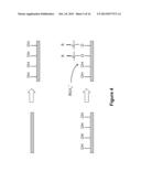 FUNCTIONALIZED CARBON MEMBRANES diagram and image