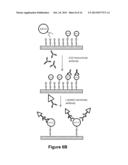 FUNCTIONALIZED CARBON MEMBRANES diagram and image