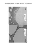 FUNCTIONALIZED CARBON MEMBRANES diagram and image