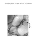 FUNCTIONALIZED CARBON MEMBRANES diagram and image