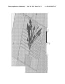 EFFICIENT ACTIVE MULTI-DRIVE RADIATOR diagram and image