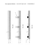 TOUCH-RESPONSIVE CAPACITOR WITH POLARIZING DIELECTRIC METHOD diagram and image