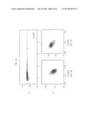 METHOD AND SYSEM FOR MEASURING POROSITY OF PARTICLES diagram and image