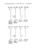 ZOOM LENS SYSTEM diagram and image