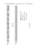 MOBILE TERMINAL APPARATUS, BASE STATION APPARATUS AND COMMUNICATION     CONTROL METHOD diagram and image