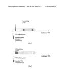 TRANSMISSION OF DATA BLOCK INFORMATION IN A CELLULAR RADIO SYSTEM diagram and image