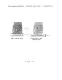 BIOMETRIC INFORMATION REGISTRATION DEVICE AND BIOMETRIC INFORMATION     REGISTRATION METHOD diagram and image