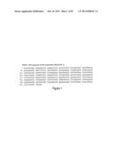 Antibodies and molecules derived therefrom that bind to STEAP-1 proteins diagram and image