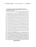 Antibodies and molecules derived therefrom that bind to STEAP-1 proteins diagram and image