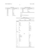 Antibodies and molecules derived therefrom that bind to STEAP-1 proteins diagram and image