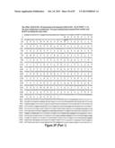 Antibodies and molecules derived therefrom that bind to STEAP-1 proteins diagram and image