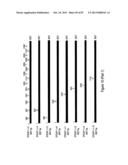 Antibodies and molecules derived therefrom that bind to STEAP-1 proteins diagram and image