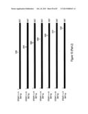 Antibodies and molecules derived therefrom that bind to STEAP-1 proteins diagram and image