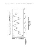 Antibodies and molecules derived therefrom that bind to STEAP-1 proteins diagram and image