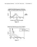 Antibodies and molecules derived therefrom that bind to STEAP-1 proteins diagram and image