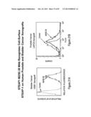 Antibodies and molecules derived therefrom that bind to STEAP-1 proteins diagram and image