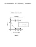 Antibodies and molecules derived therefrom that bind to STEAP-1 proteins diagram and image