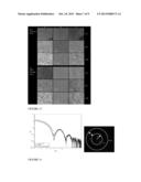 REPORTER GENES FOR MAGENTIC RESONANCE IMAGING AND METHODS OF USE THEREOF diagram and image