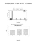 COMPOSITIONS FOR USE IN TREATMENT OF DERMATOLOGICAL DISEASES AND     CONDITIONS AND METHODS OF USE THEREOF diagram and image