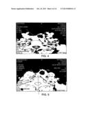 Methods for Use of a Specific Anti-Angiogenic Adenoviral Agent diagram and image