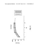 Methods for Use of a Specific Anti-Angiogenic Adenoviral Agent diagram and image