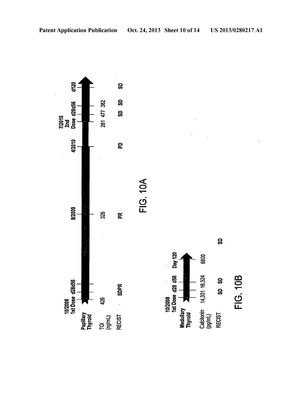 Methods for Use of a Specific Anti-Angiogenic Adenoviral Agent - diagram, schematic, and image 11