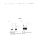 IDENTIFICATION OF MODULATORS OF SERINE PROTEASE INHIBITOR KAZAL AND THEIR     USE AS ANTI-CANCER AND ANTI-VIRAL AGENTS diagram and image