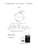 IDENTIFICATION OF MODULATORS OF SERINE PROTEASE INHIBITOR KAZAL AND THEIR     USE AS ANTI-CANCER AND ANTI-VIRAL AGENTS diagram and image