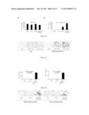 Modulation of the Activity and Differentiation of Cells Expressing the     Osteoclast-Associated Receptor diagram and image