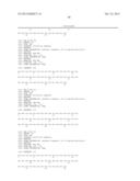 Modulation of the Activity and Differentiation of Cells Expressing the     Osteoclast-Associated Receptor diagram and image