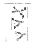 PHARMACEUTICAL COMPOSITION OF A COMPLEX OF AN ANTI-DIG ANTIBODY AND     DIGOXIGENIN THAT IS CONJUGATED TO A PEPTIDE diagram and image