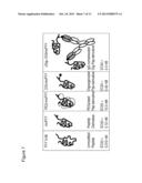 PHARMACEUTICAL COMPOSITION OF A COMPLEX OF AN ANTI-DIG ANTIBODY AND     DIGOXIGENIN THAT IS CONJUGATED TO A PEPTIDE diagram and image