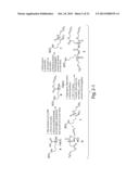 Drug Loaded Polymeric Nanoparticles and Methods of Making and Using Same diagram and image