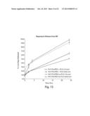 Drug Loaded Polymeric Nanoparticles and Methods of Making and Using Same diagram and image