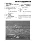 FLEXIBLE LAMINATE STRUCTURE diagram and image