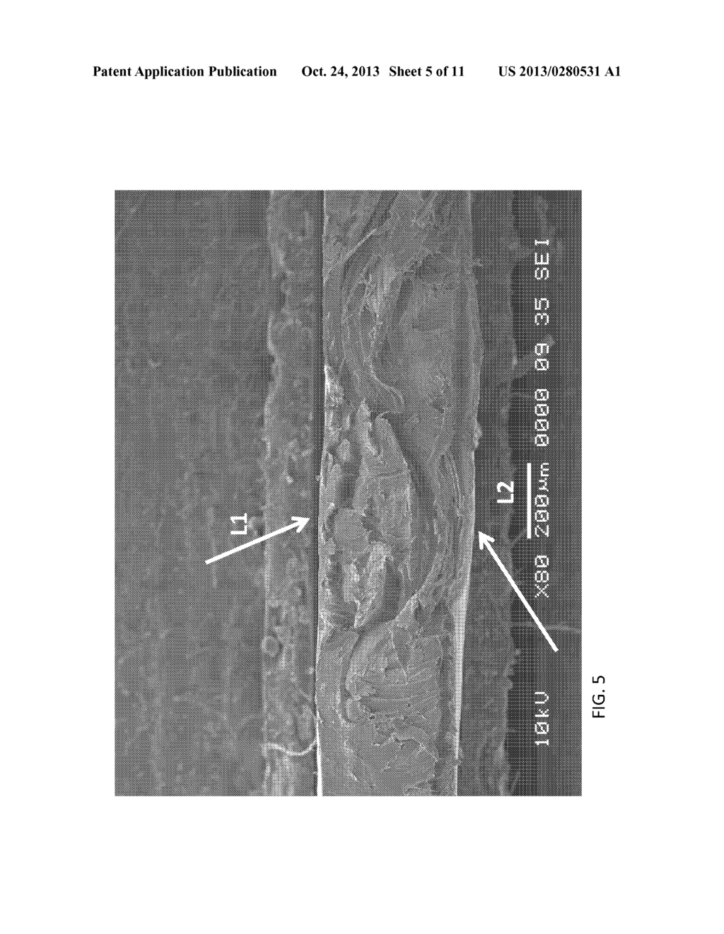 FLEXIBLE LAMINATE STRUCTURE - diagram, schematic, and image 06