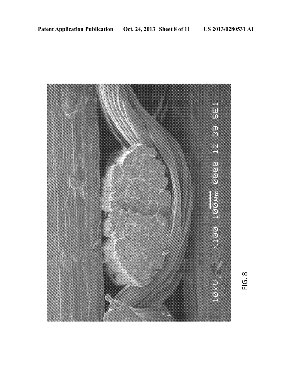 FLEXIBLE LAMINATE STRUCTURE - diagram, schematic, and image 09