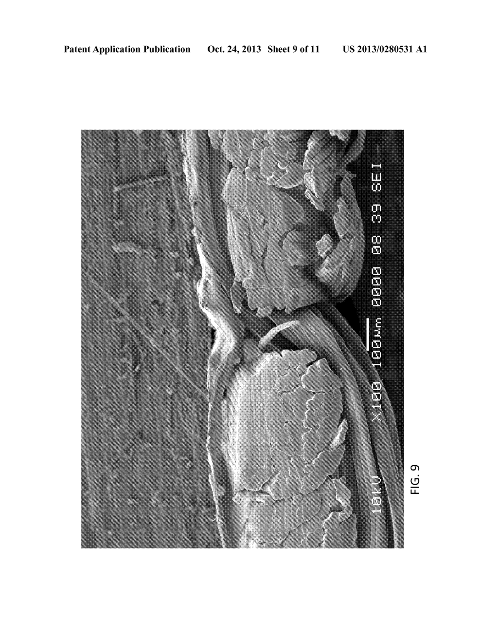 FLEXIBLE LAMINATE STRUCTURE - diagram, schematic, and image 10