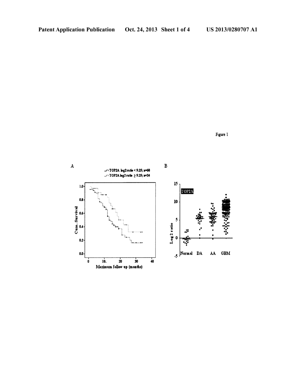 TOP2A INHIBITION BY TEMOZOLOMIDE AND ITS PREDICTIVE VALUE OF GBM PATIENTS     SURVIVAL - diagram, schematic, and image 02