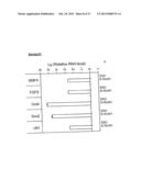 METHOD OF DERIVING PROGENITOR CELL LINE diagram and image