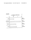 METHOD OF DERIVING PROGENITOR CELL LINE diagram and image