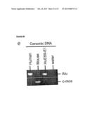 METHOD OF DERIVING PROGENITOR CELL LINE diagram and image