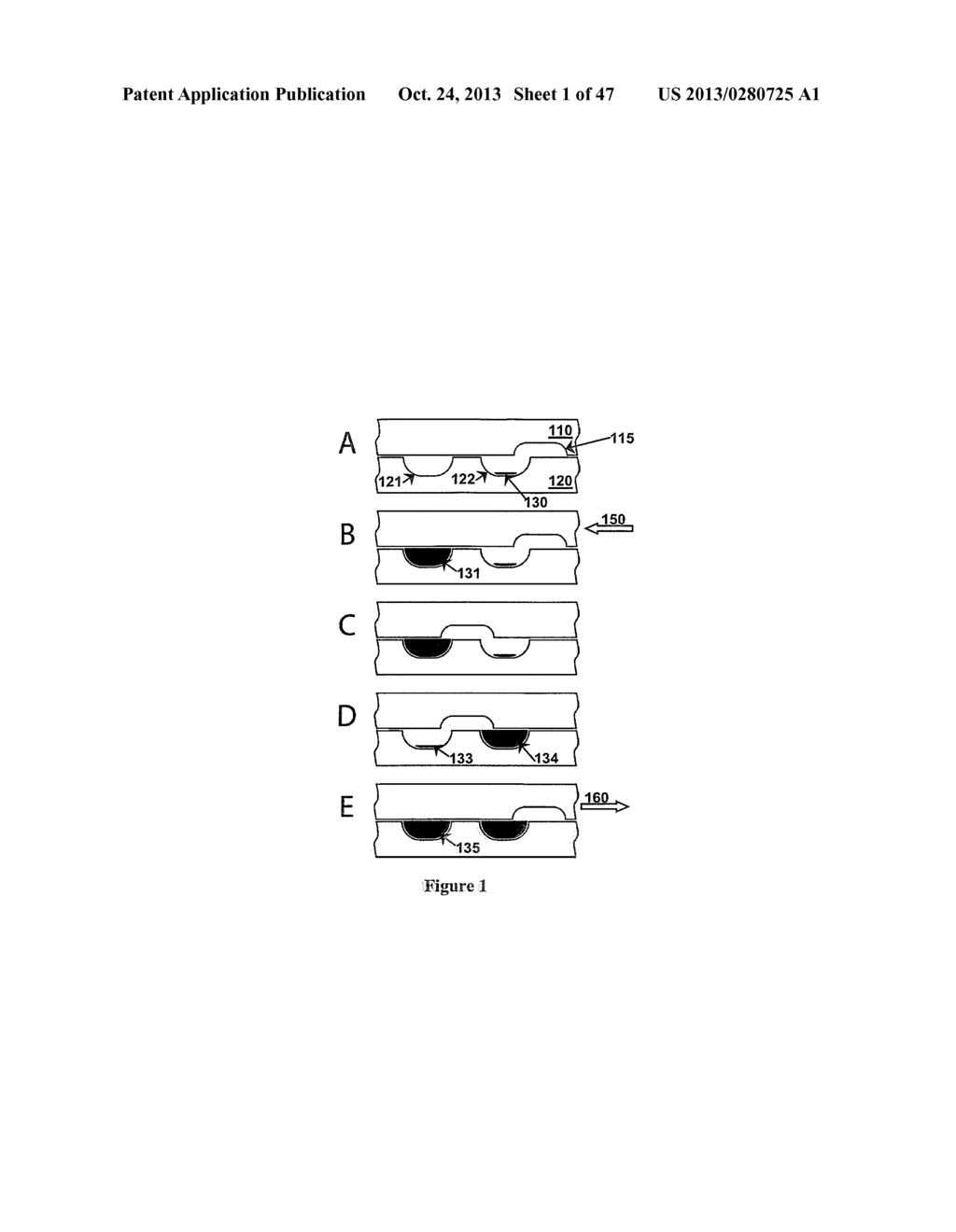 FLUIDIC DEVICES FOR BIOSPECIMEN PRESERVATION - diagram, schematic, and image 02