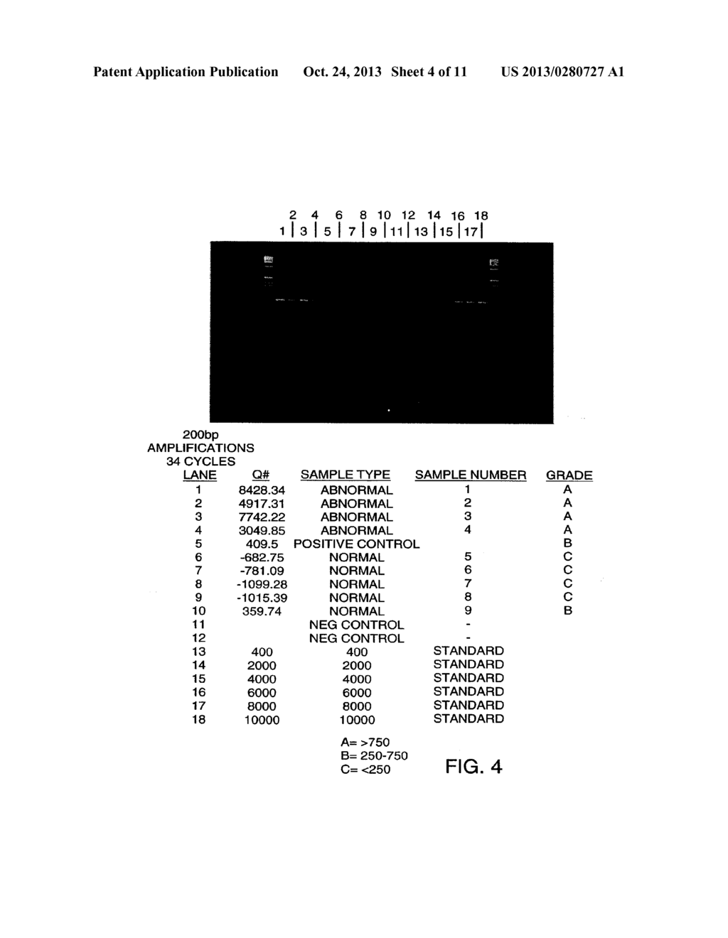 METHODS FOR DETECTING NUCLEIC ACIDS INDICATIVE OF CANCER - diagram, schematic, and image 05