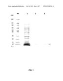 QUANTIFICATION AND CHARACTERIZATION OF ALLERGENS diagram and image