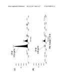 QUANTIFICATION AND CHARACTERIZATION OF ALLERGENS diagram and image