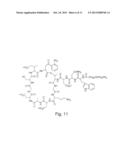 HIGH PURITY LIPOPETIDES diagram and image