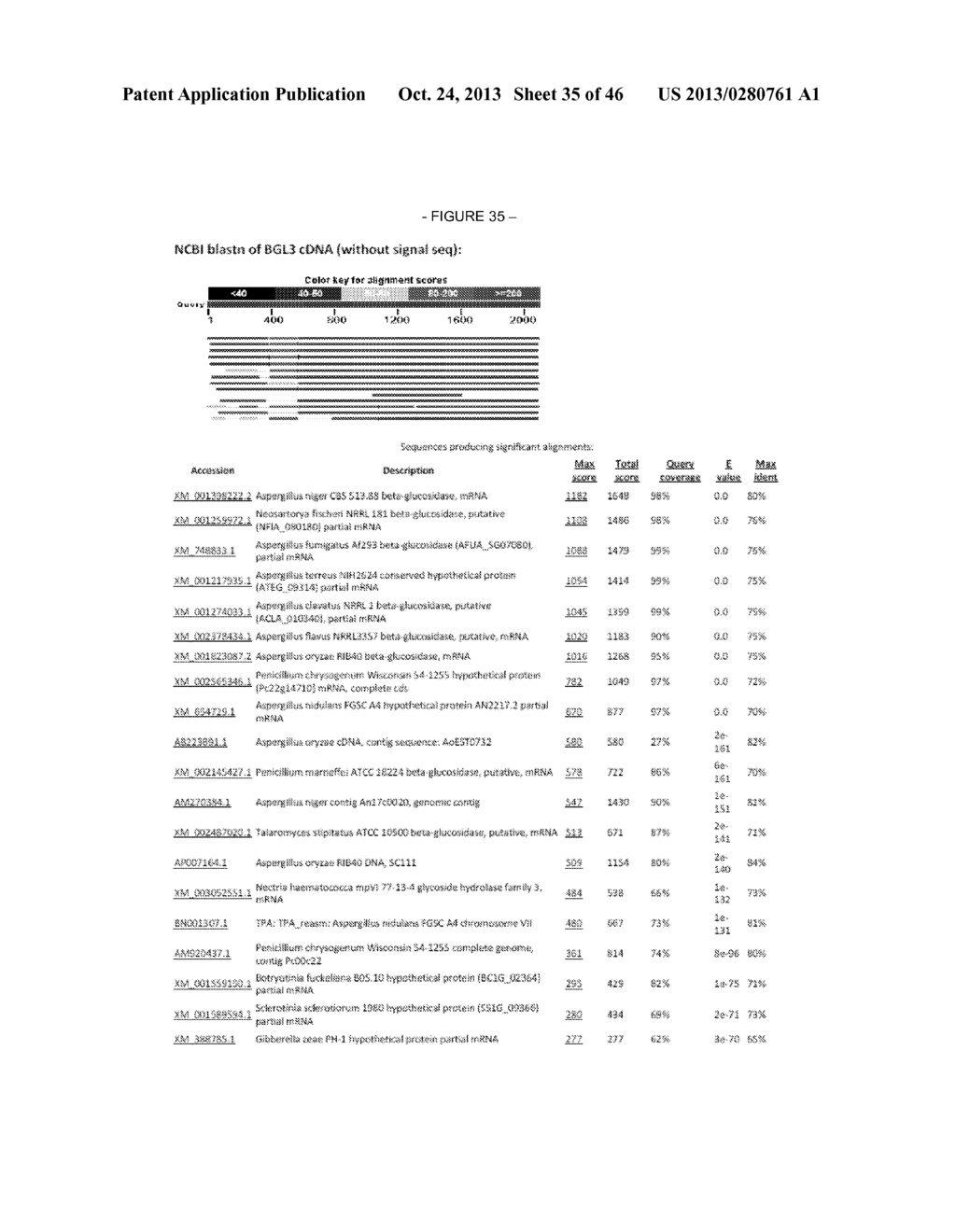 ASPERGILLUS CONTAINING BETA-GLUCOSIDASE, BETA-GLUCOSIDASES AND NUCLEIC     ACIDS ENCODING THE SAME - diagram, schematic, and image 36