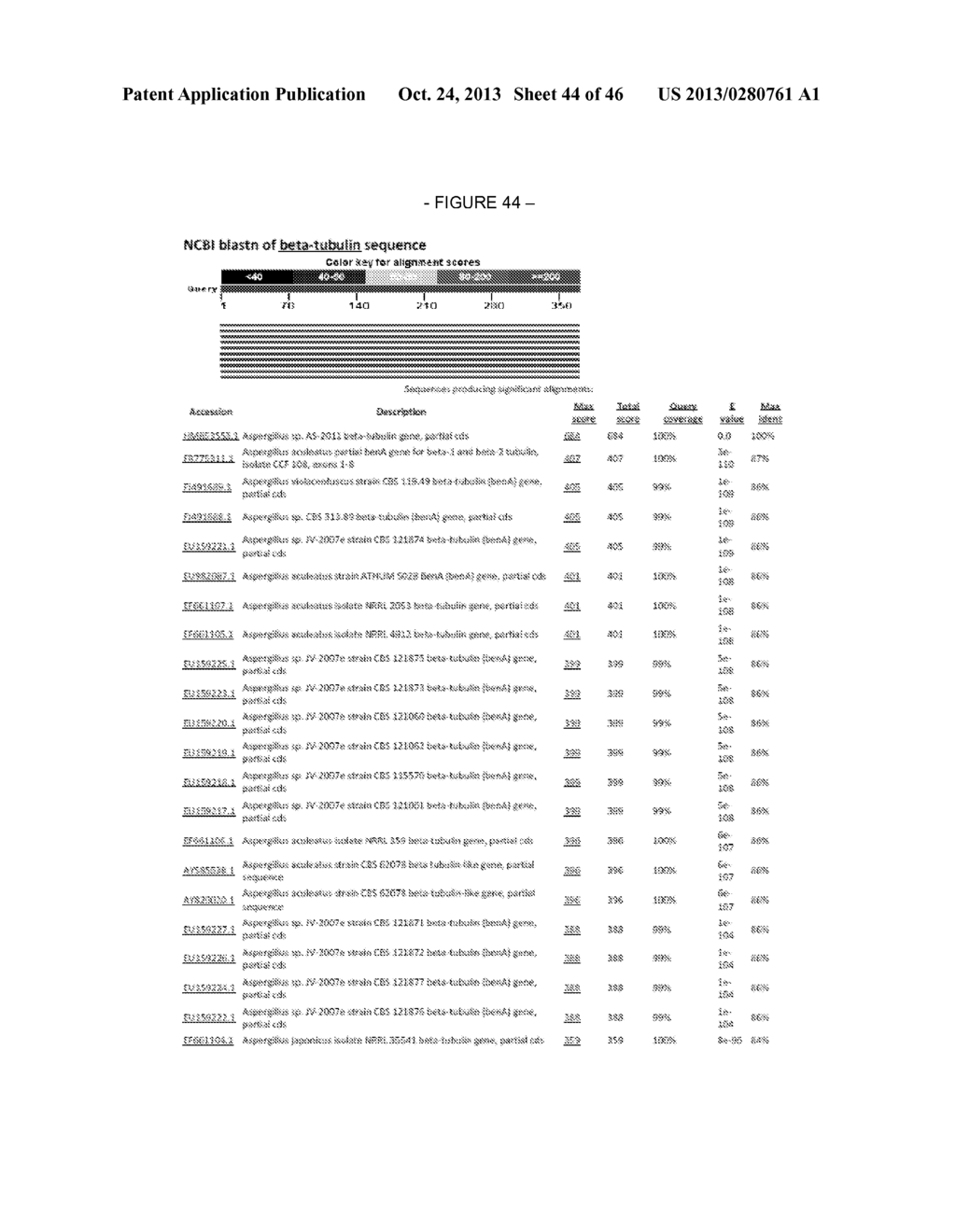 ASPERGILLUS CONTAINING BETA-GLUCOSIDASE, BETA-GLUCOSIDASES AND NUCLEIC     ACIDS ENCODING THE SAME - diagram, schematic, and image 45